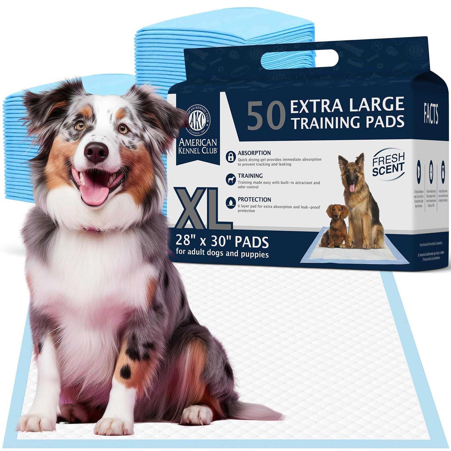 American Kennel Club Training Pads - Pet Supplies online store