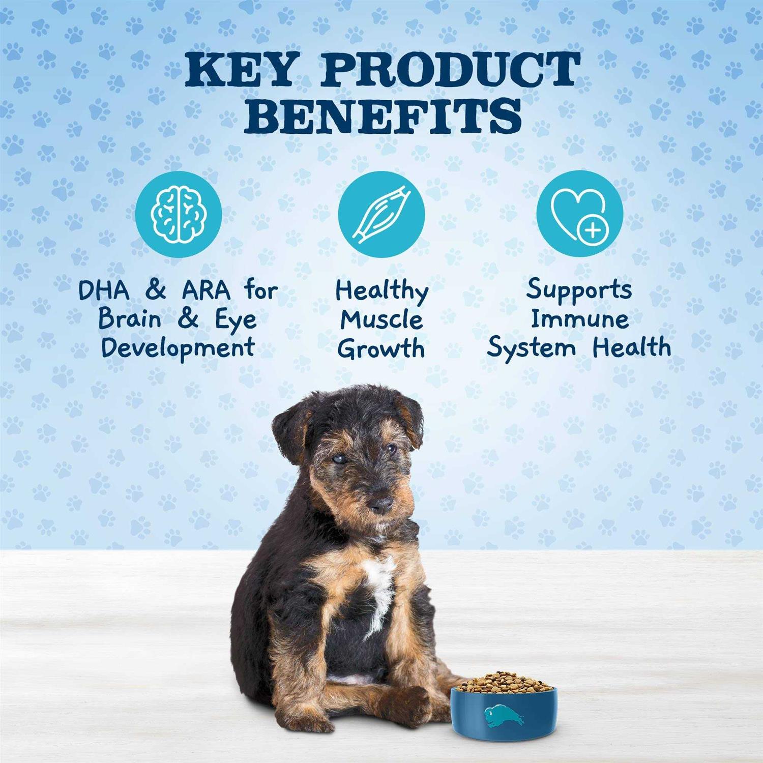 Blue Buffalo Baby Blue Healthy Growth Formula Natural Puppy Dry Dog Food, Chicken and Brown Rice Recipe - Pet Supplies online store