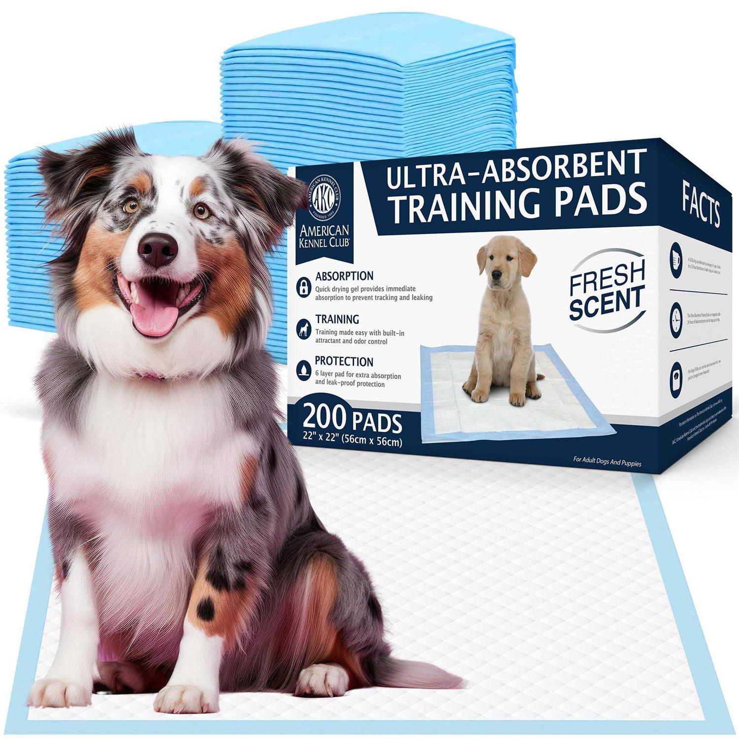American Kennel Club AKC Puppy Training Pads - Pet Supplies online store