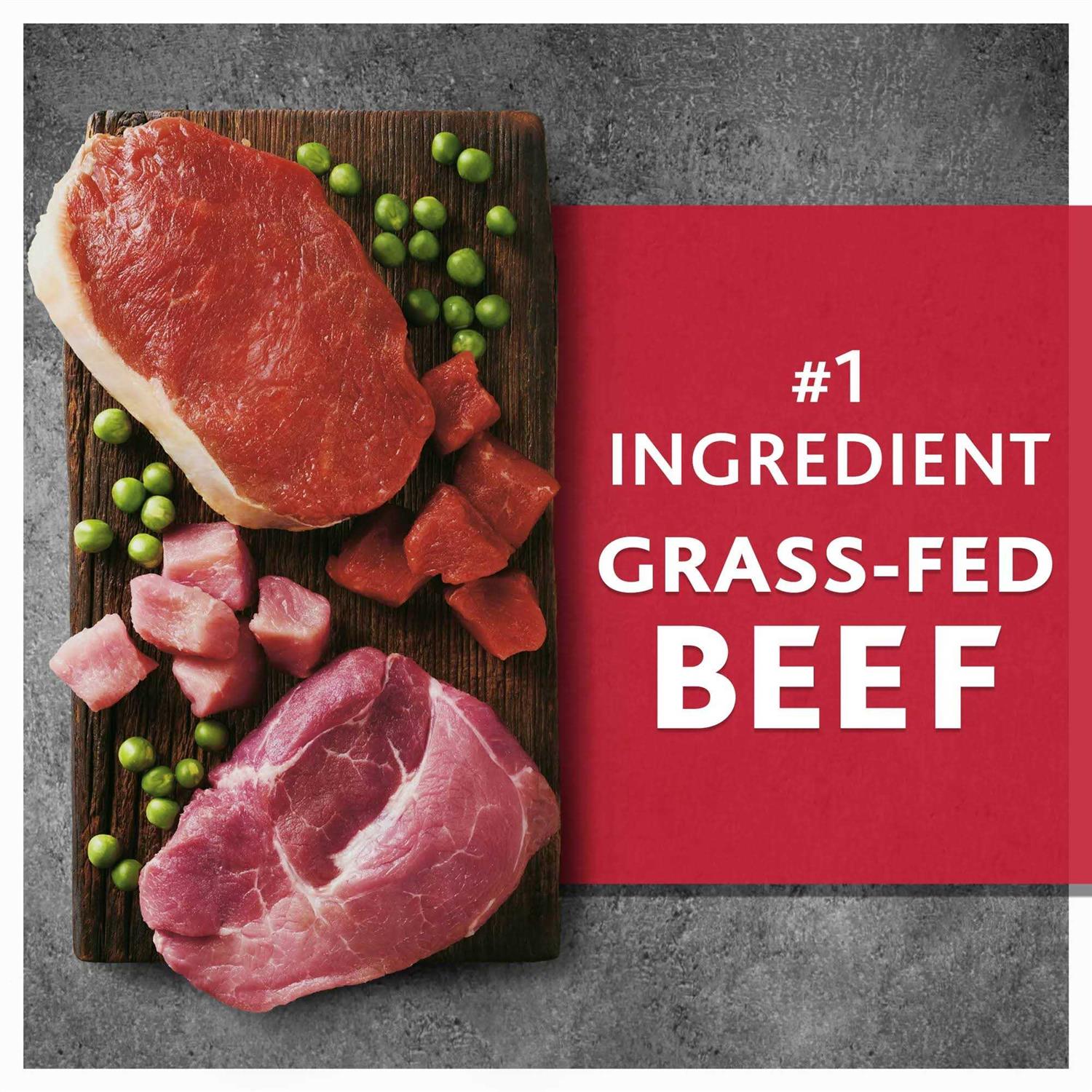 Pure Balance Wild & Free Beef & Wild Boar Recipe Dry Dog Food - Pet Supplies online store