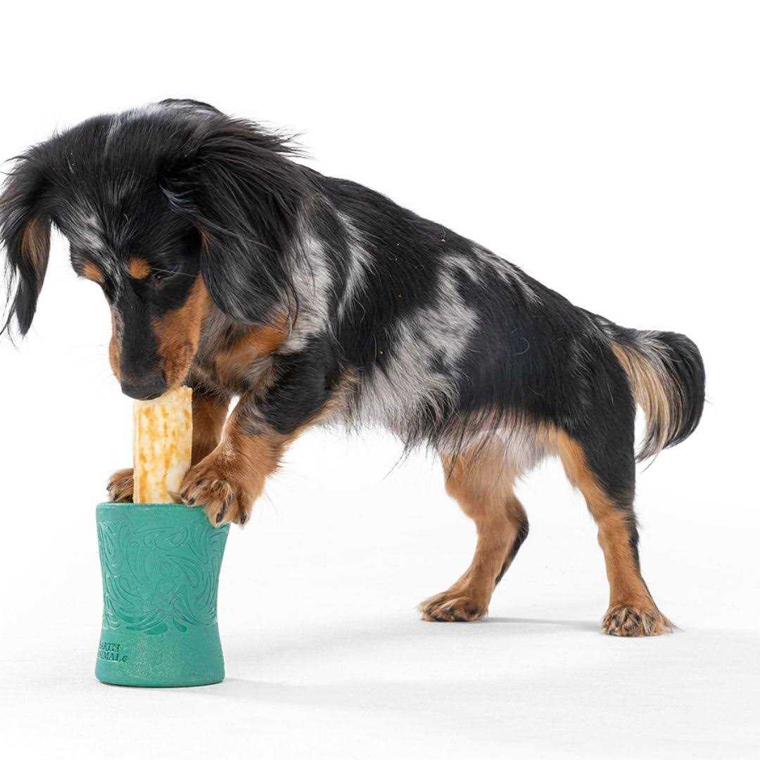 West Paw Funnl Dog Toy - Pet Supplies online store