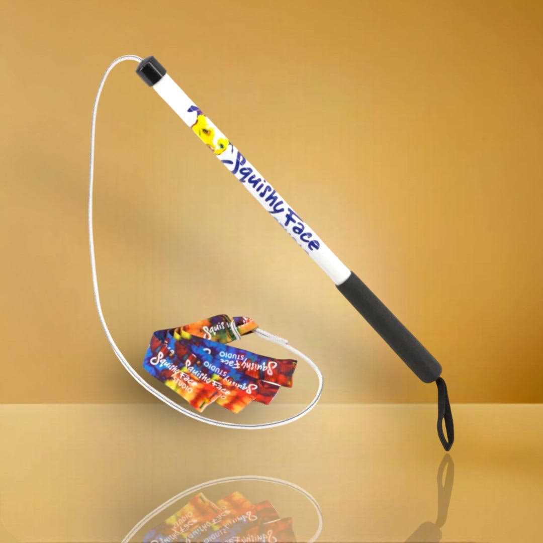 Squishy Face Studio Flirt Pole V2 Dog Toy with Lure - Pet Supplies online store