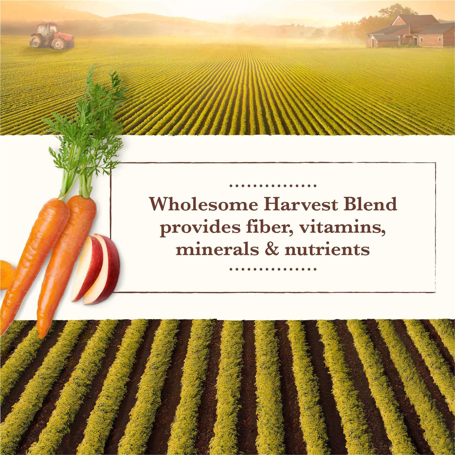 Whole Earth Farms Grain Free Wet Dog Food Chicken Turkey - Pet Supplies online store