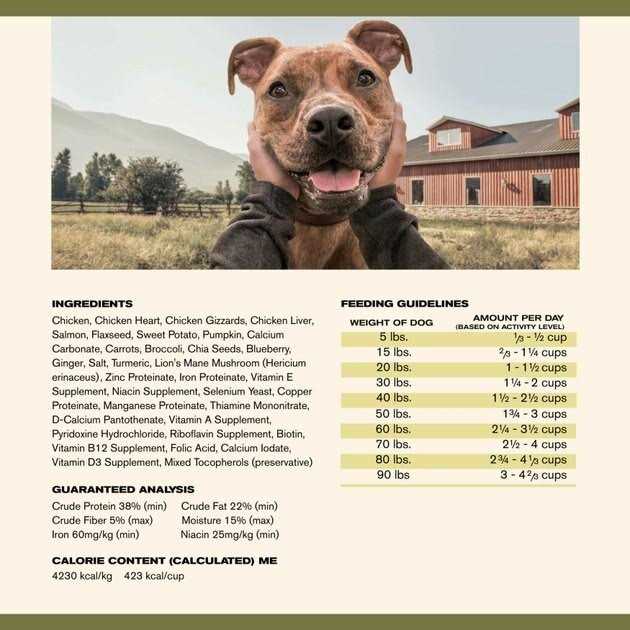 Badlands Ranch Superfood Complete Air Dried Chicken Dog Food - Pet Supplies online store