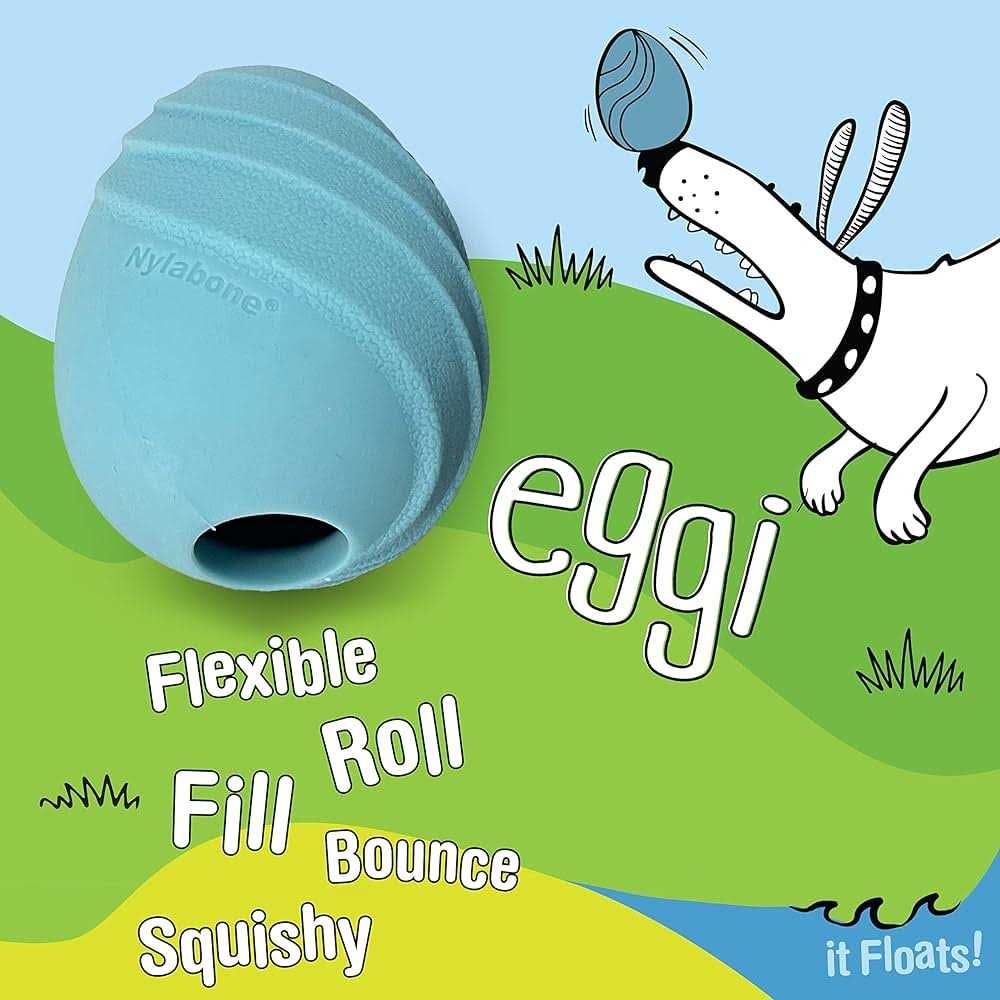 Nylabone Creative Play Eggi Dog Toy - Pet Supplies online store