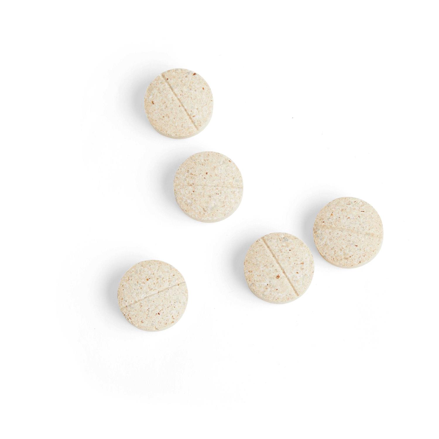 Well & Good Digestive Enzymes & Probiotics Tablets for Dogs - Pet Supplies online store