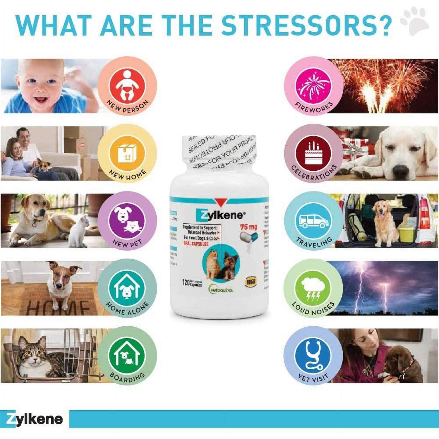 Zylkene Vetoquinol - Pet Supplies online store