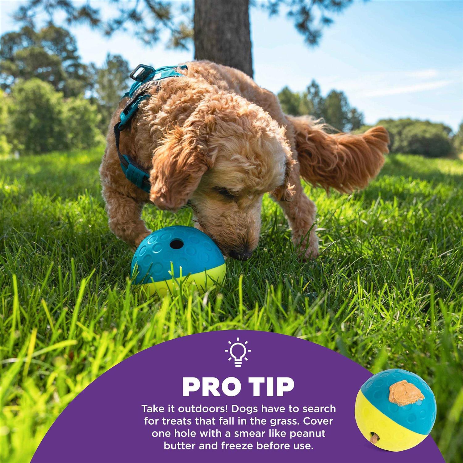 Nina Ottosson Treat Tumble Dog Toy - Pet Supplies online store