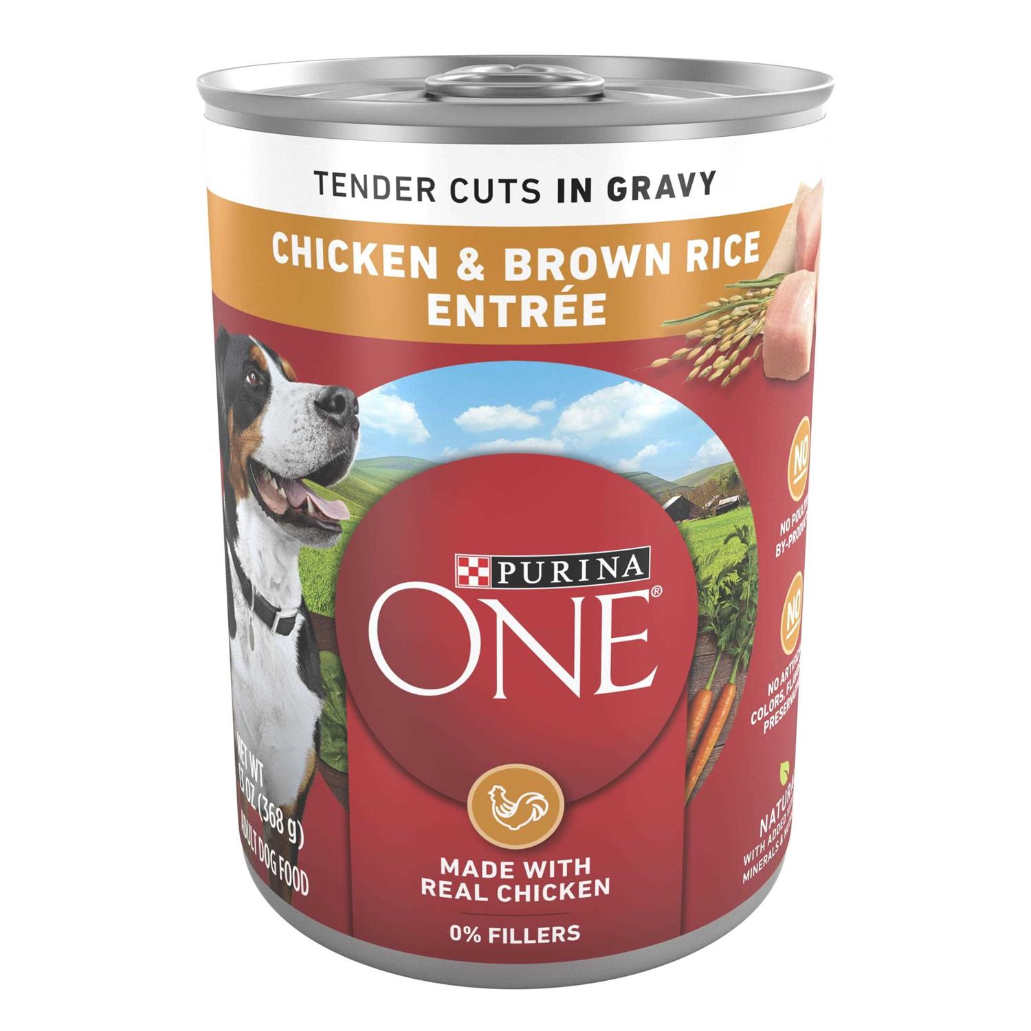 Purina One Tender Cuts in Gravy Chicken and Brown Rice Wet Dog Food - Pet Supplies online store