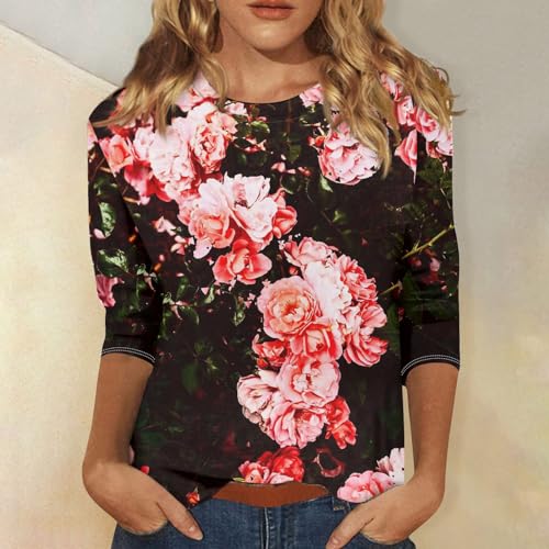 Plus Size Clothes for Women Dressy Tops for Women Stylish Crew-Neck 3/4 Sleeve Tops for Women Casual Summer