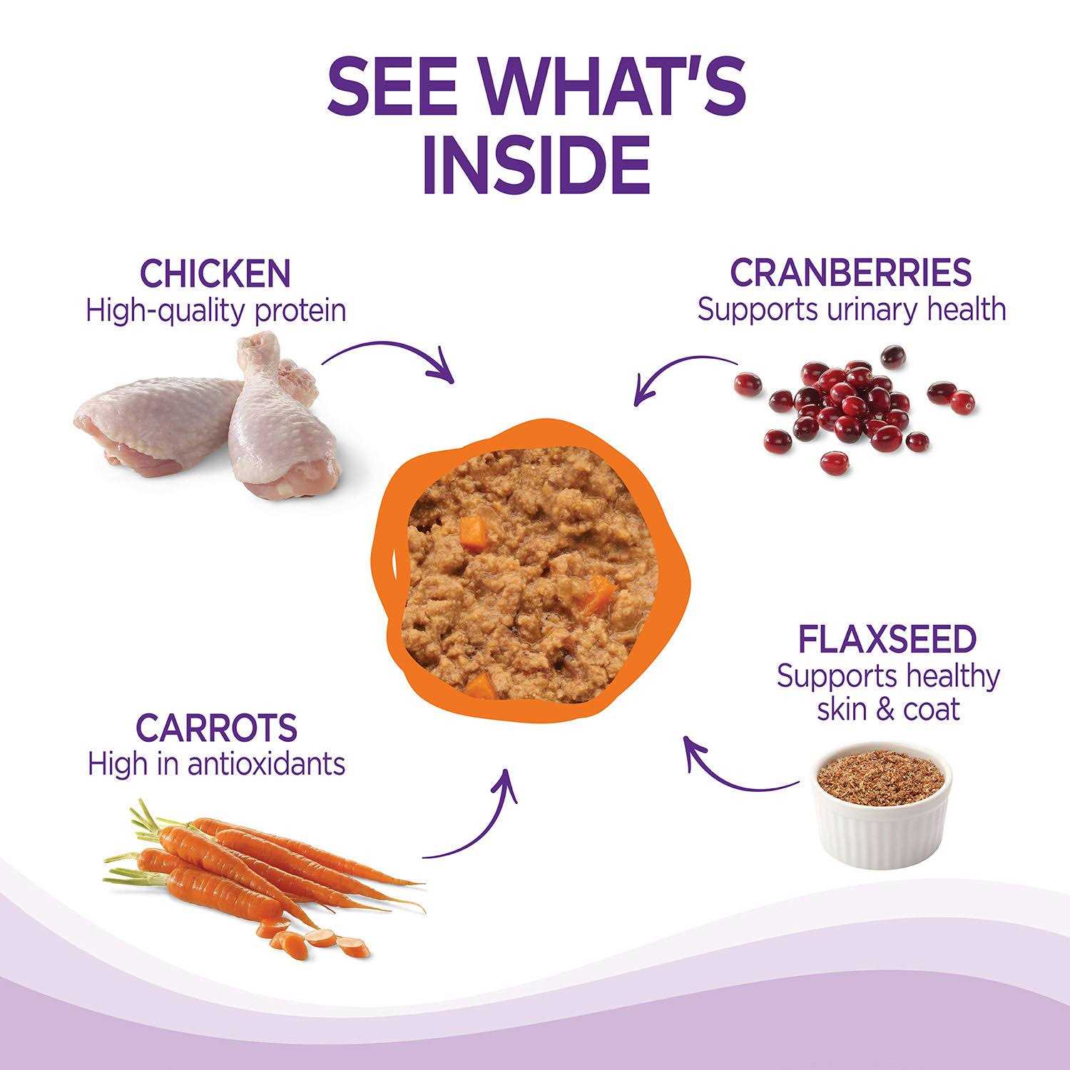 Wellness Complete Health Pâté - Pet Supplies online store