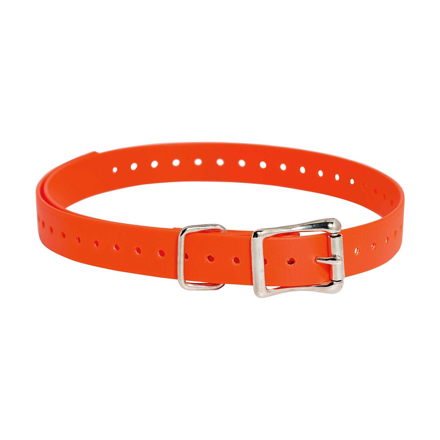 SportDOG Collar Strap - Pet Supplies online store