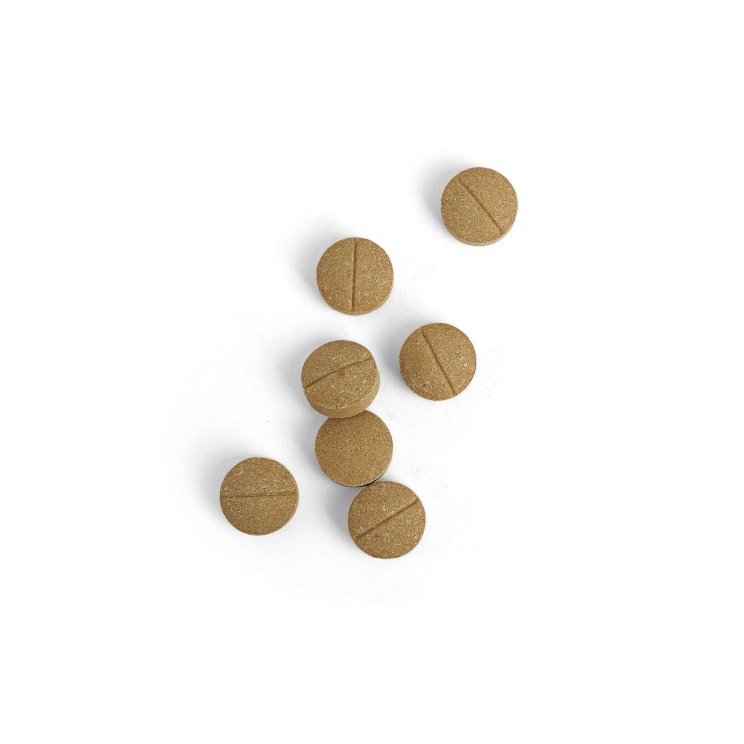 Well & Good Coprophagia Chewable Tablets for Dogs - Pet Supplies online store