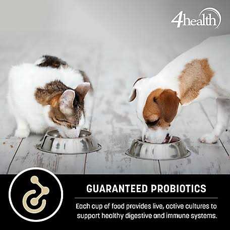 4health Special Care Adult Sensitive Skin Formula Dry Dog Food - Pet Supplies online store