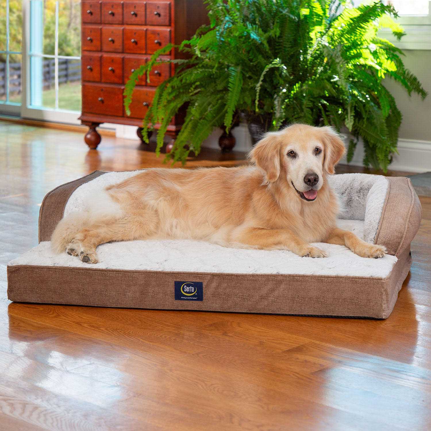 Serta XL Luxury Sleeper Sofa Pet Bed - Pet Supplies online store