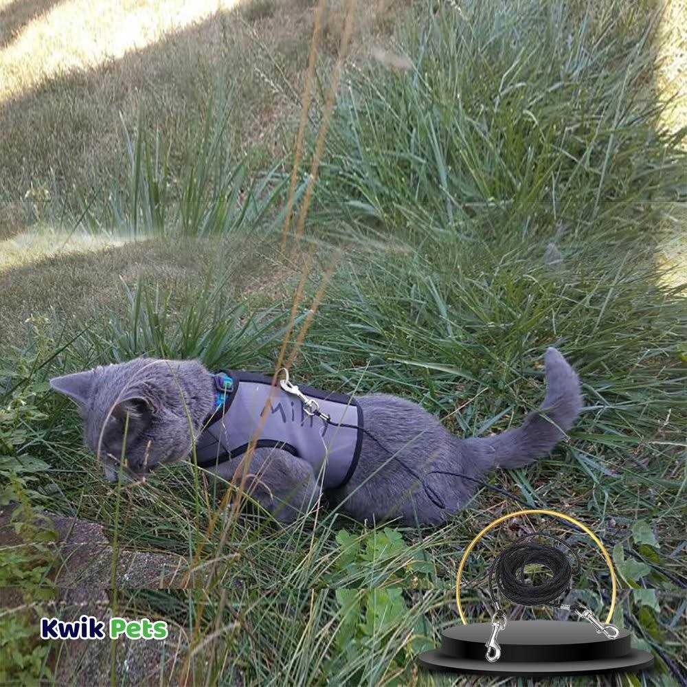 Coastal Poly Cat Tie Out - Pet Supplies online store