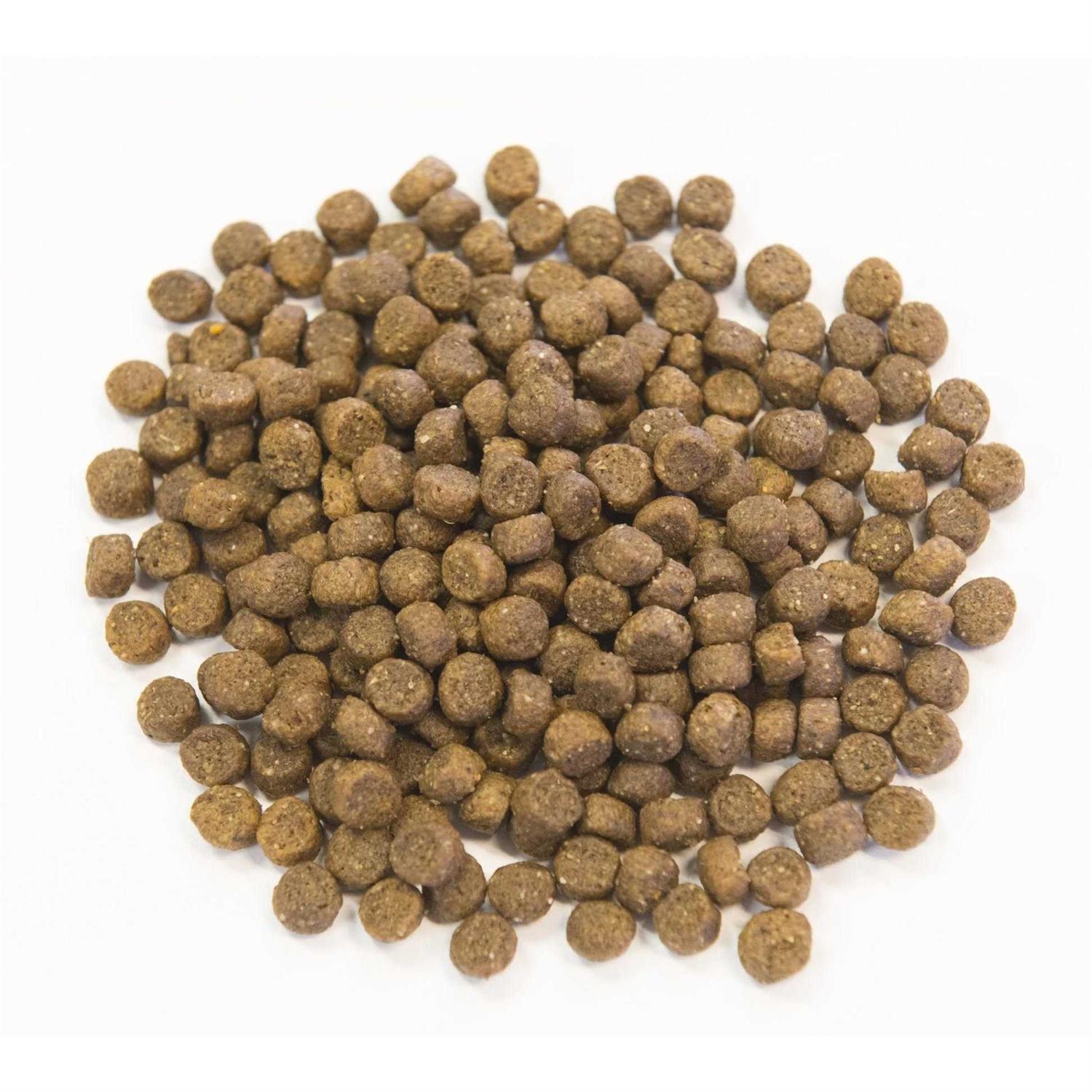 Muenster Ancient Grains with Chicken Dog Food - Pet Supplies online store