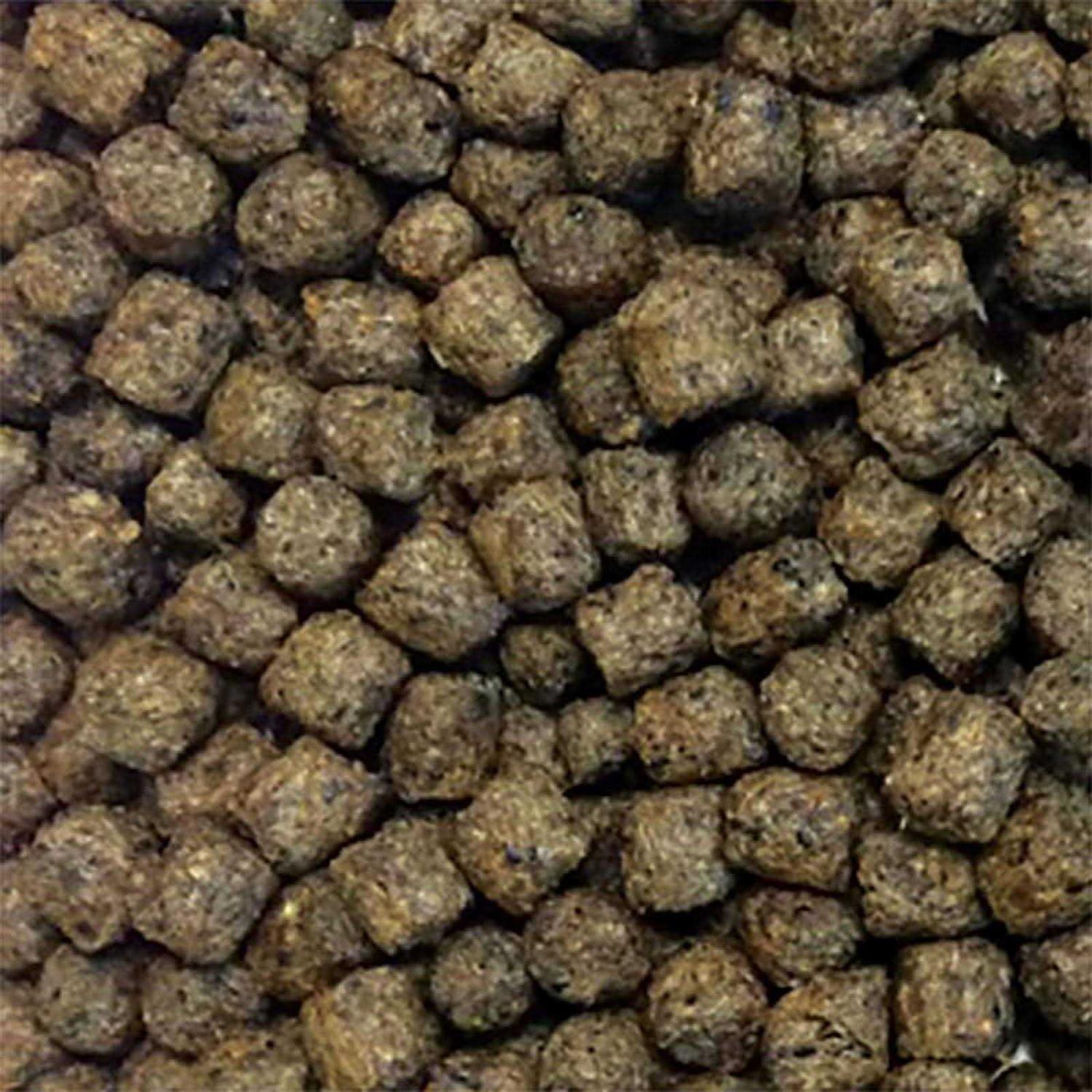 The Pond Guy Staple Fish Food - Pet Supplies online store