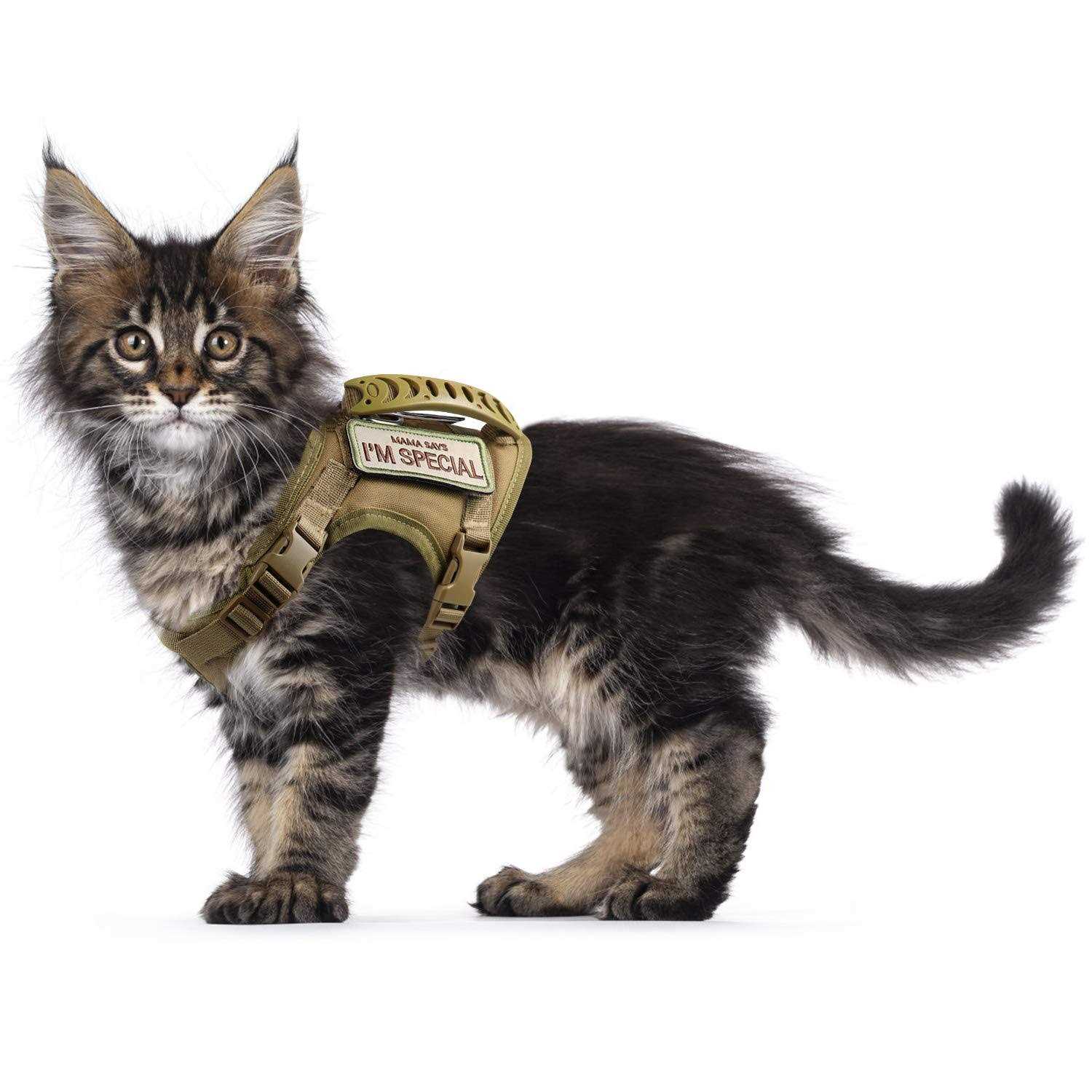 augopapa Tactical Cat Harness for Walking Escape Proof Soft Mesh Adjustable Pet Vest Harness - Pet Supplies online store