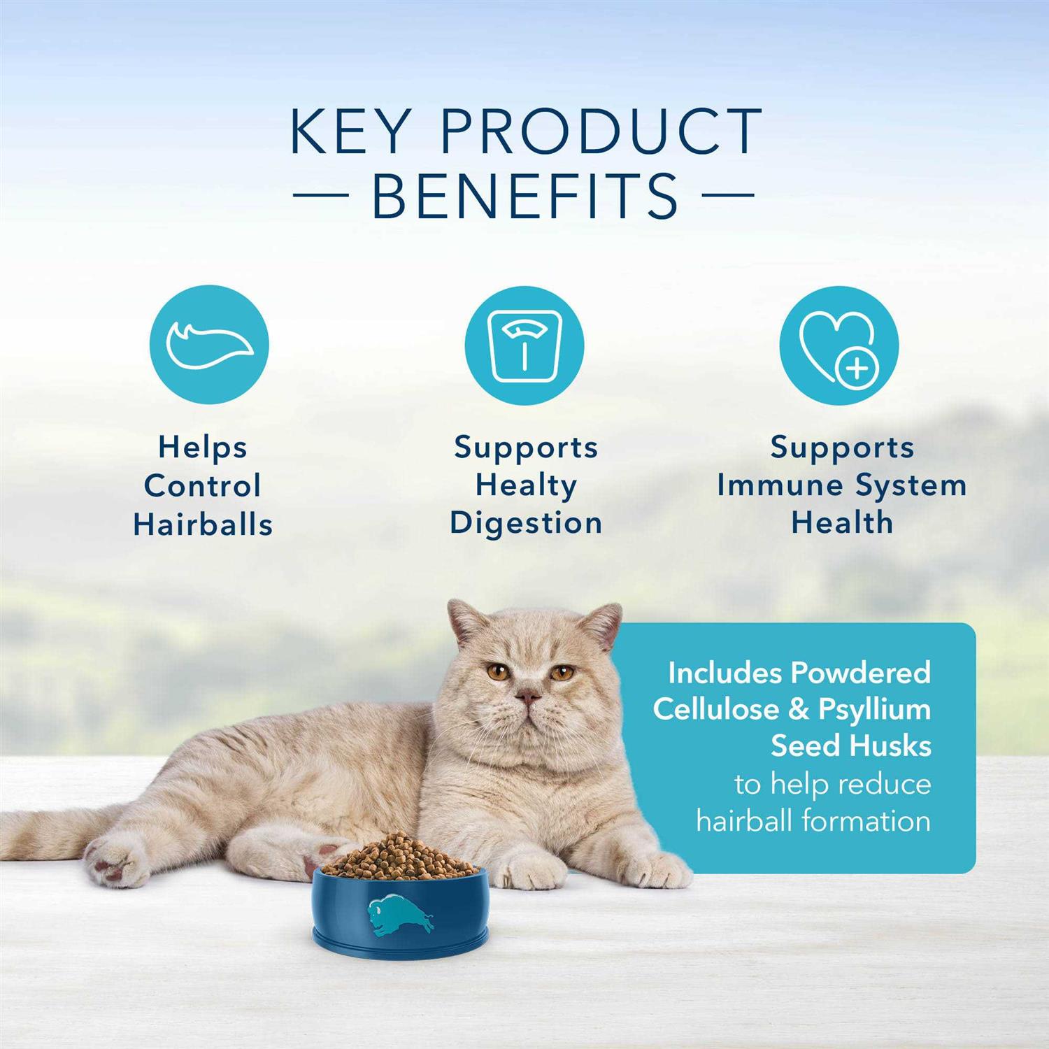 Blue Indoor Hairball Control Adult Dry Cat Food - Pet Supplies online store