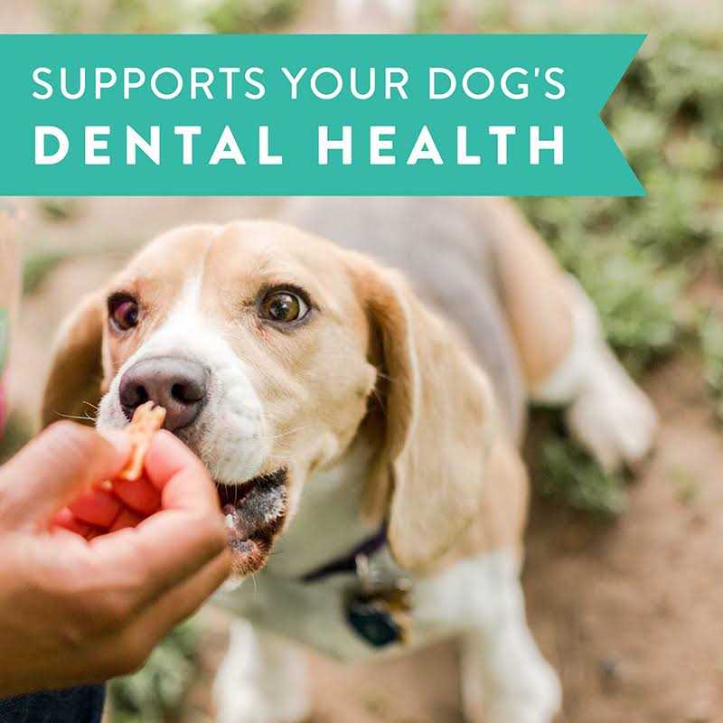 Dogswell Dental Jerky Chicken Dog Treats - Pet Supplies online store