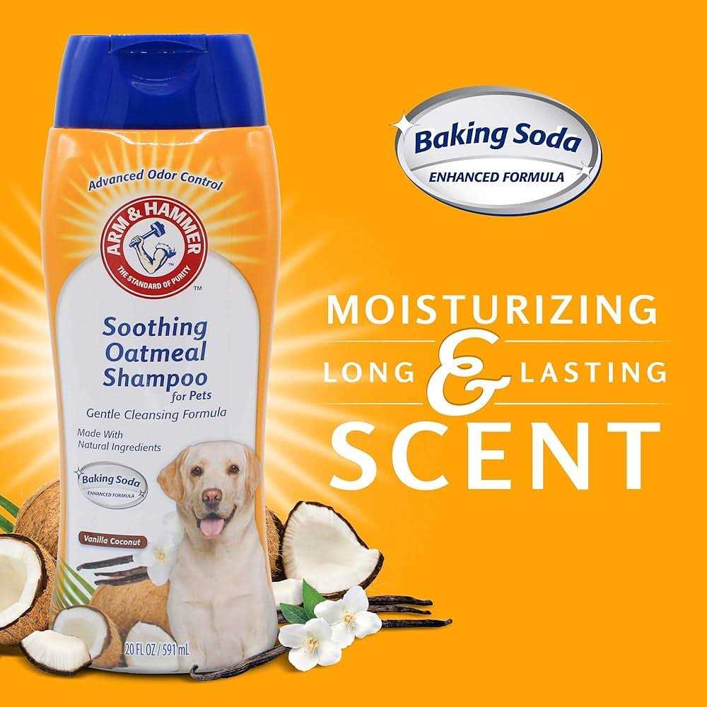 Arm & Hammer Soothing Oatmeal Shampoo for Pets - Pet Supplies online store