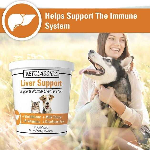 VetClassics Liver Support - Pet Supplies online store