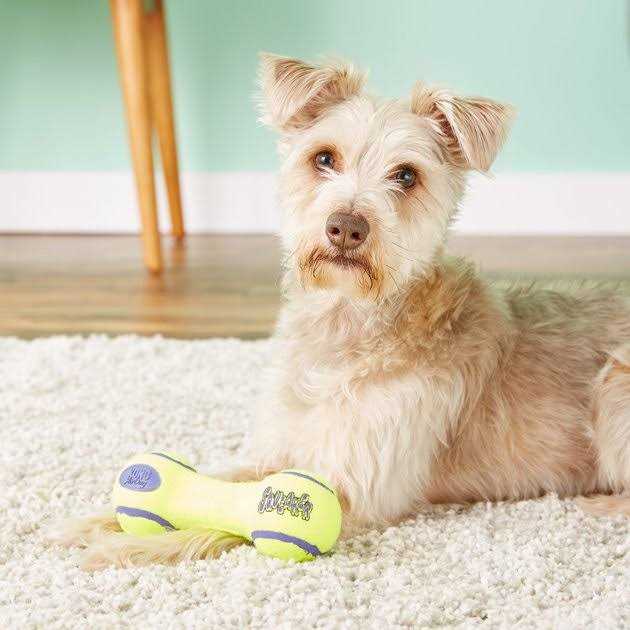 Kong Squeaker Dumbbell - Pet Supplies online store