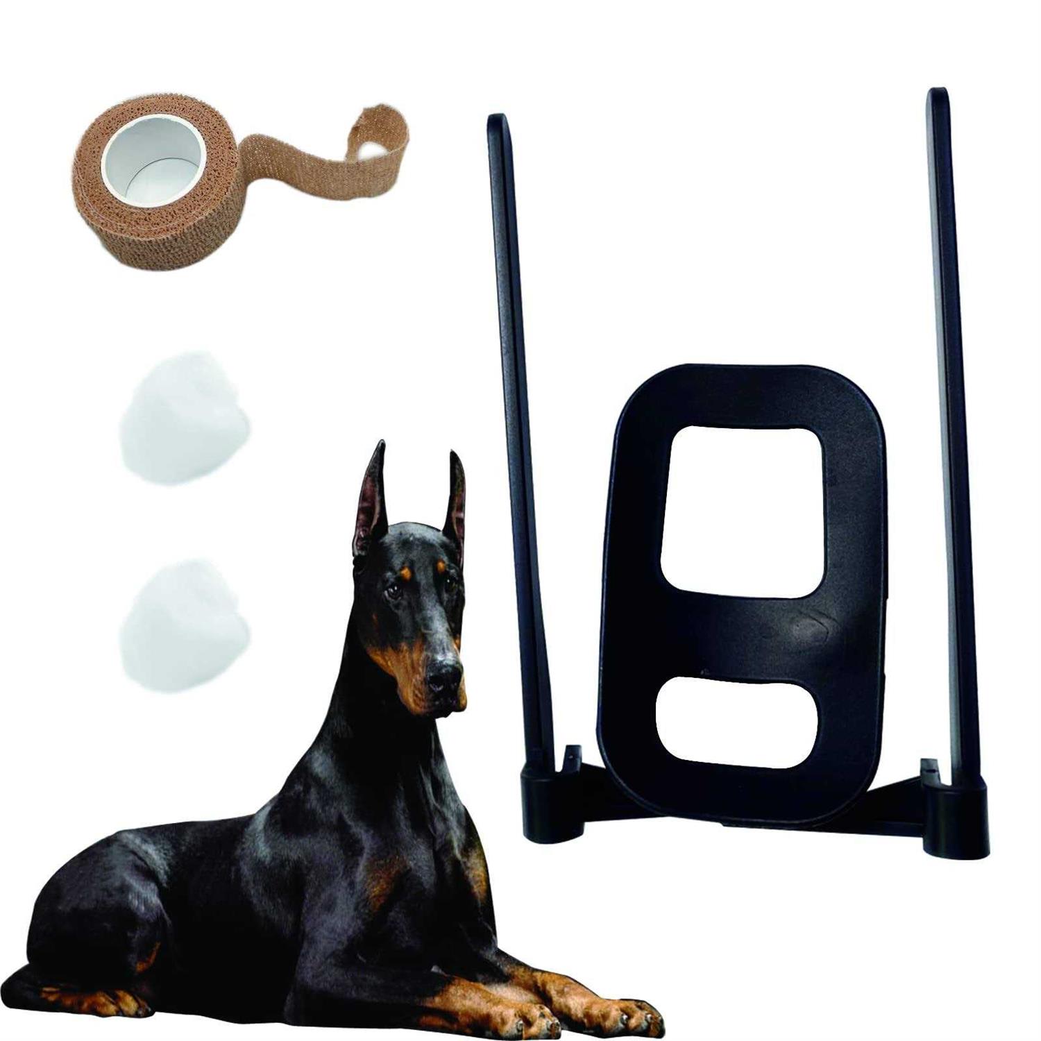 Dandelion Dog Ear Posting Kit Dog Ear Stand Up Support - Pet Supplies online store