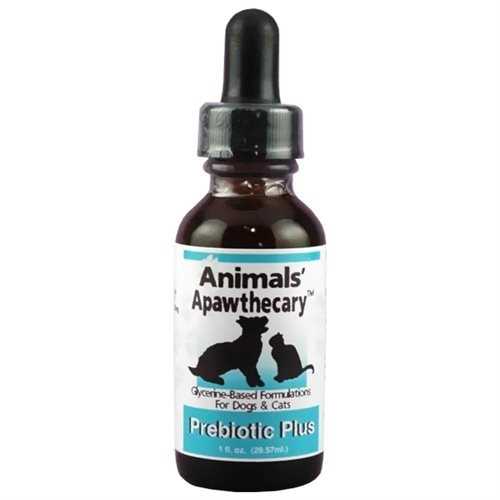 Animal Essentials Healthy Gut Prebiotic Dog & Cat Supplement, 1-oz - Pet Supplies online store