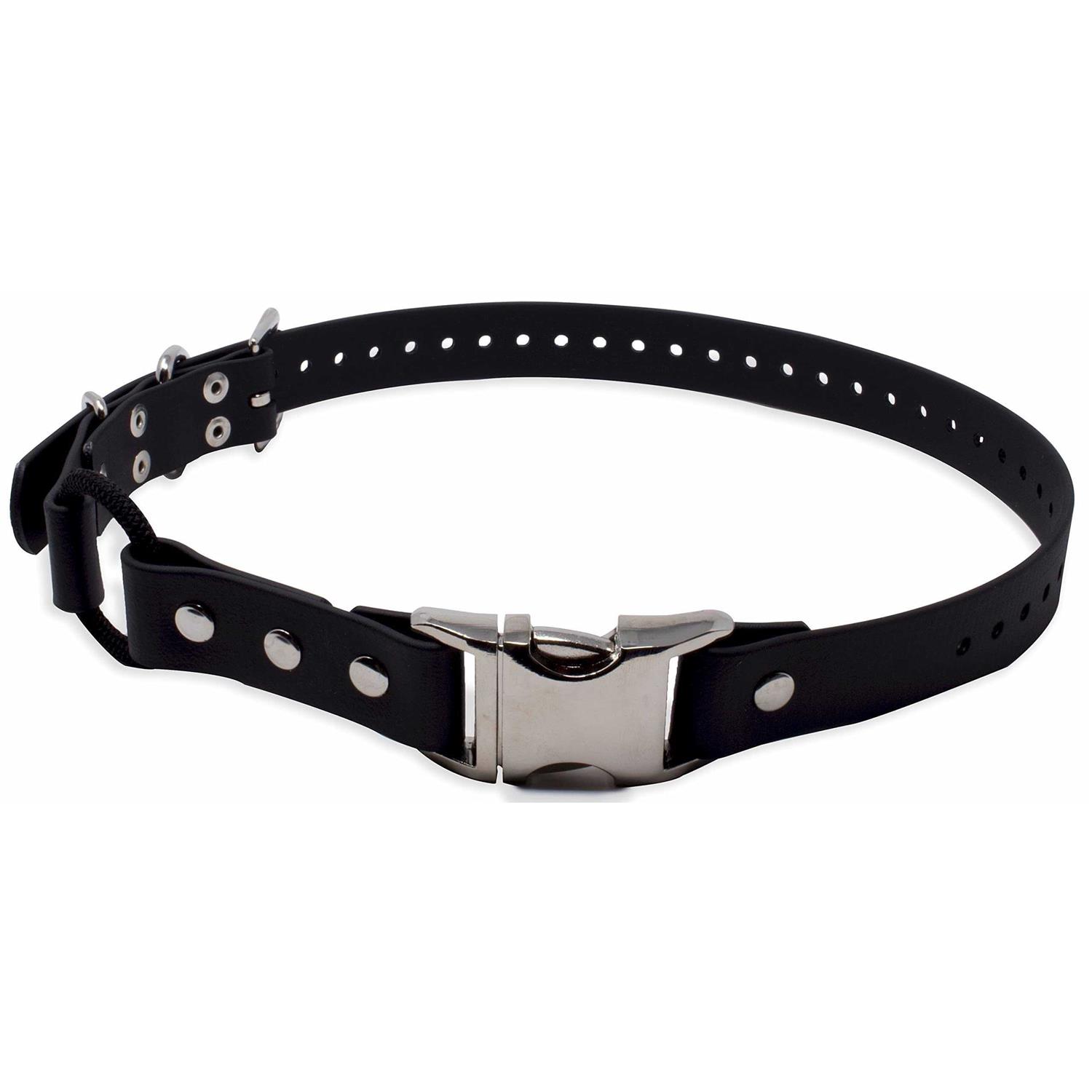 Educator Quick Snap Bungee Collar - Pet Supplies online store
