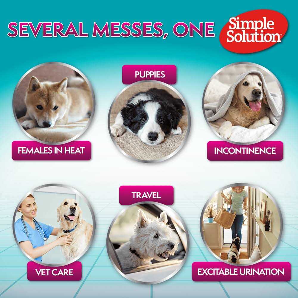 Simple Solution Diapers Disposable - Pet Supplies online store
