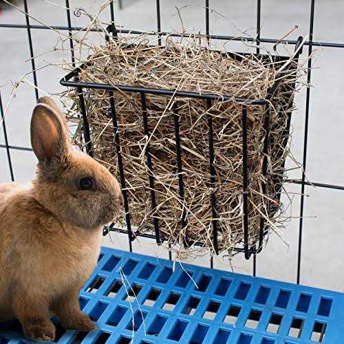 CAIQINLI 2PCS Rabbit Hay Feeder with Heavy-Duty Metal Frame Hay Holder,for Bunny - Pet Supplies online store
