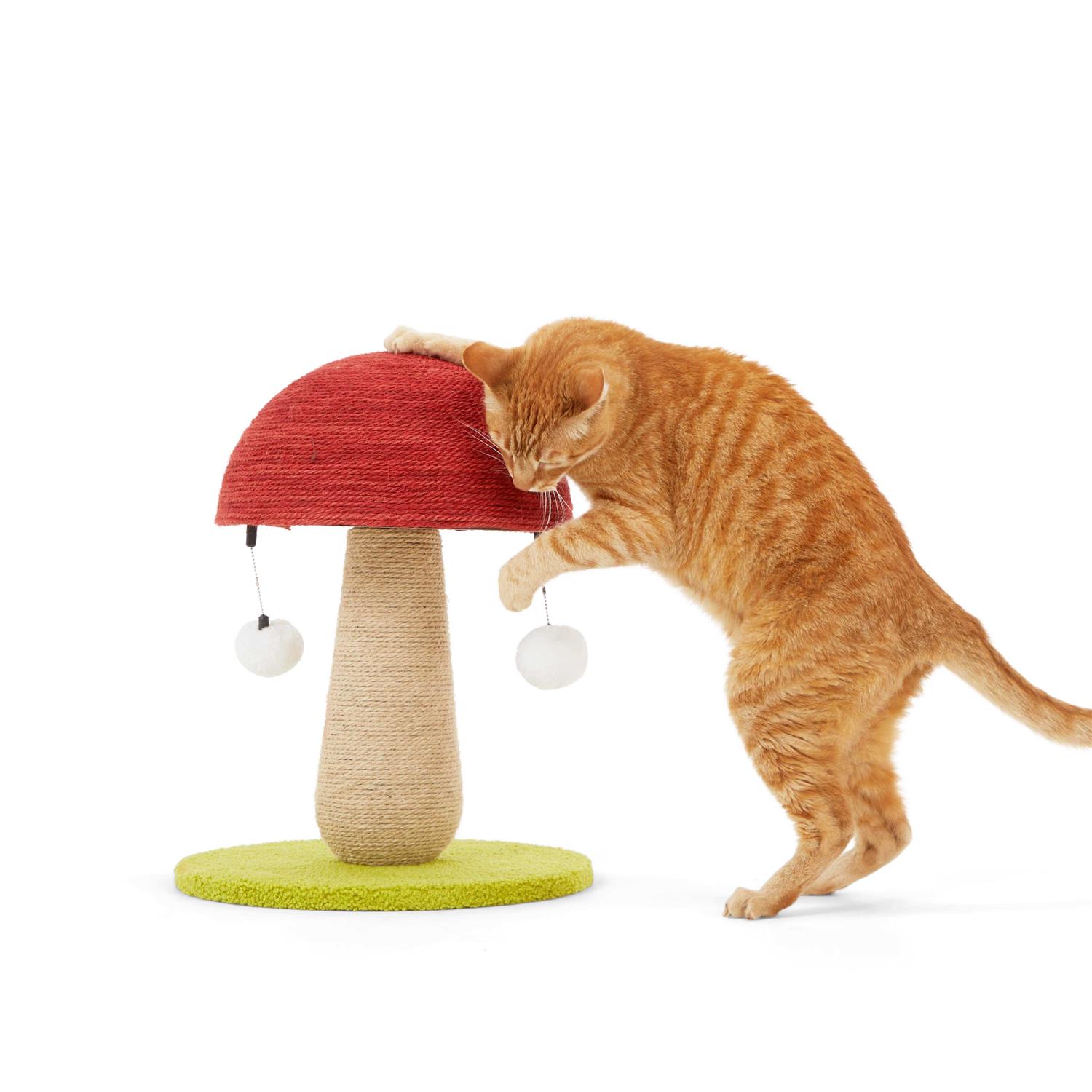 EveryYay Toadstool Scratch Post for Cats - Pet Supplies online store