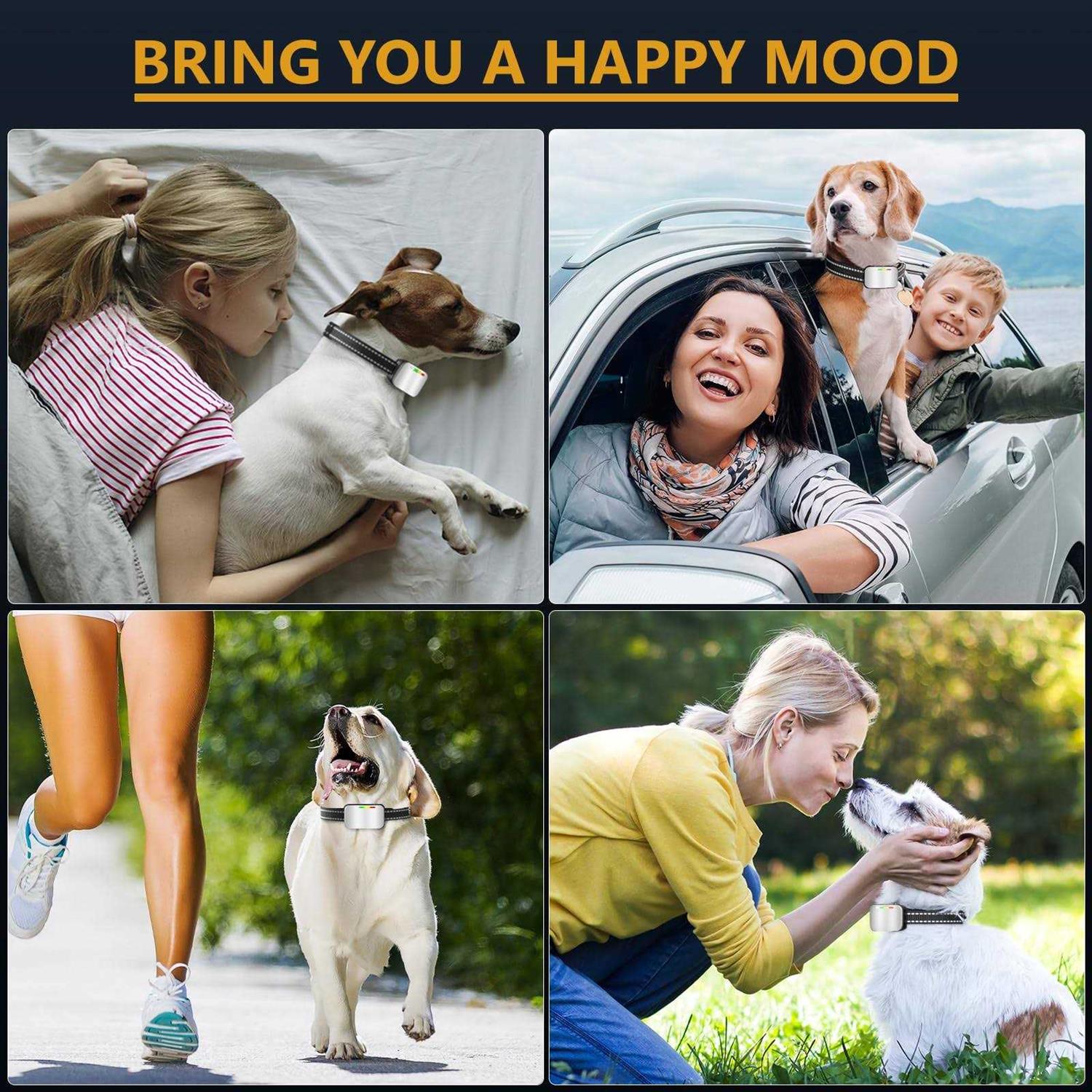 Bark Collar 2 Pack Rechargeable Dog Bark Collar for Large Medium Small Dogs Training Collar for Dogs with 4 Adjustable Sensitivity Dog Barking - Pet Supplies online store