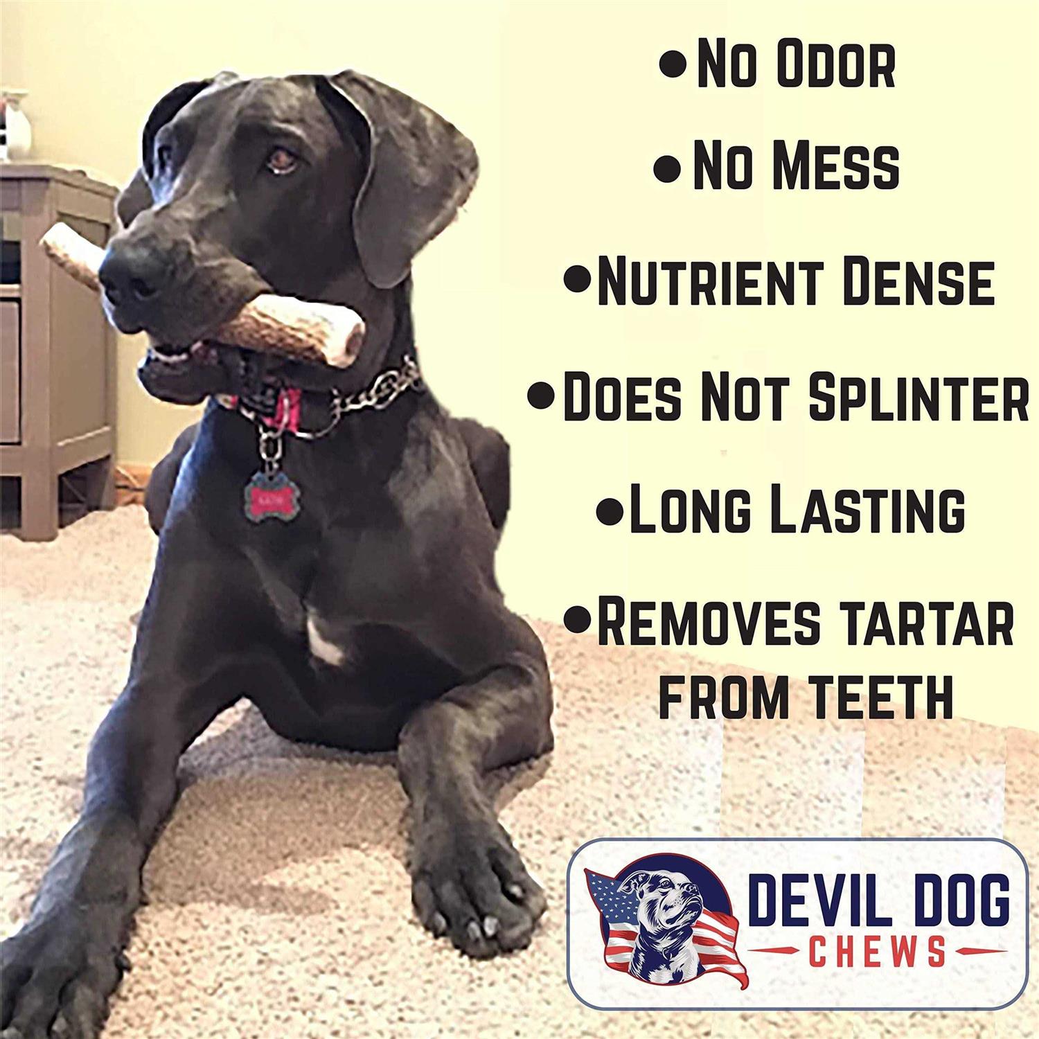 Devil Dog Pet Co Antler Dog Chew Premium Elk Antlers for Dogs Long Lasting Dog Bones for Aggressive Chewers - Pet Supplies online store