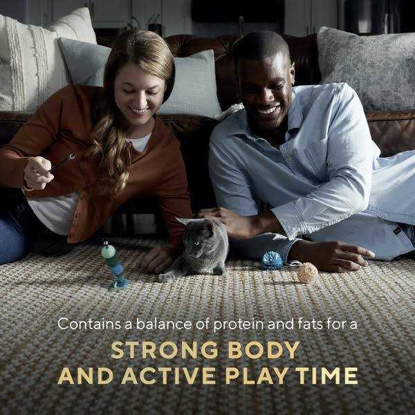 Sheba Perfect Portions Wet Kitten Food Pate - Pet Supplies online store