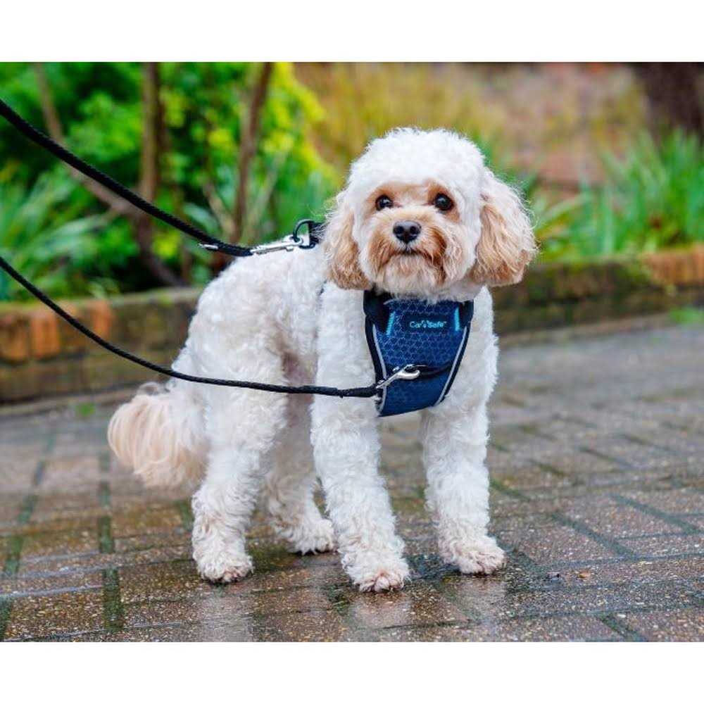 Carsafe Crash Tested Dog Harness - Pet Supplies online store