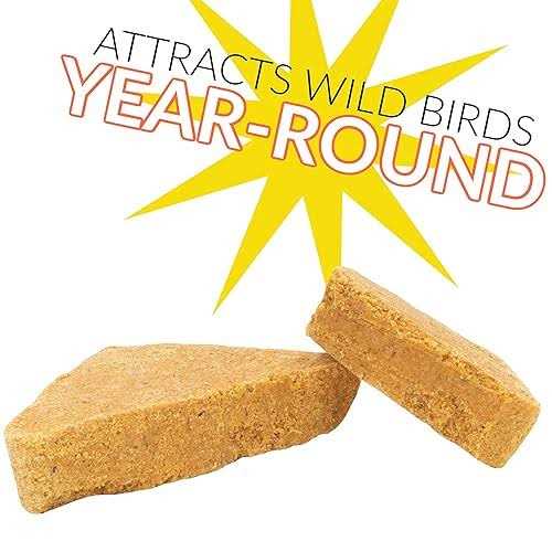 C&S Woodpecker Delight No-Melt Suet Dough - Pet Supplies online store