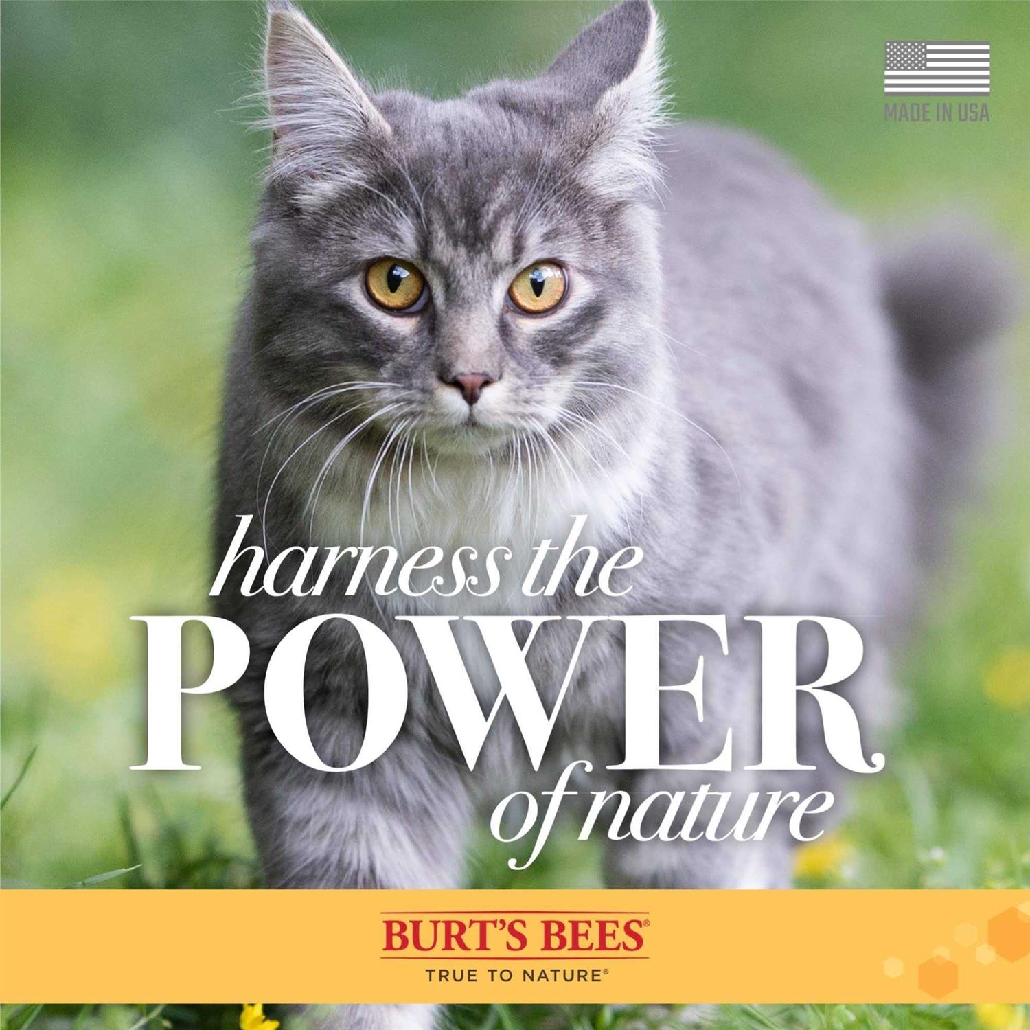 Burt's Bees Waterless Shampoo for Cats with Apple & Honey - Pet Supplies online store