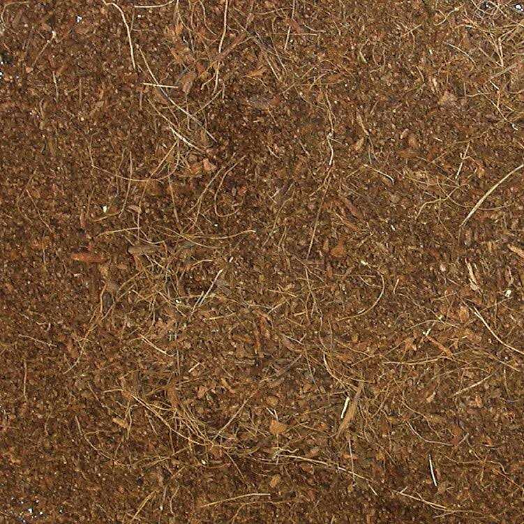 Zoo Med Eco Earth Loose Coconut Fiber Substrate - Pet Supplies online store