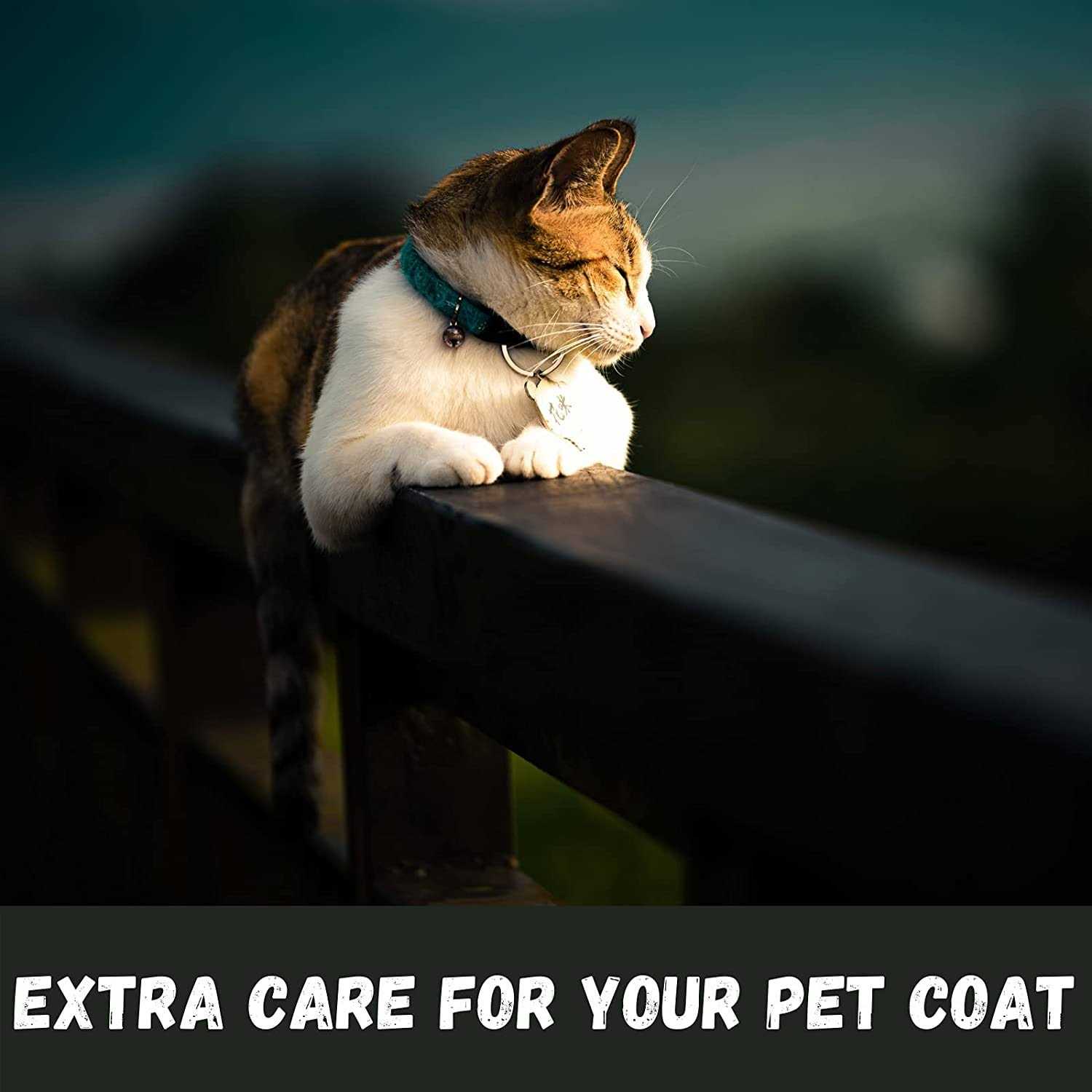 Bio Groom Purrfect White Cat Shampoo - Pet Supplies online store