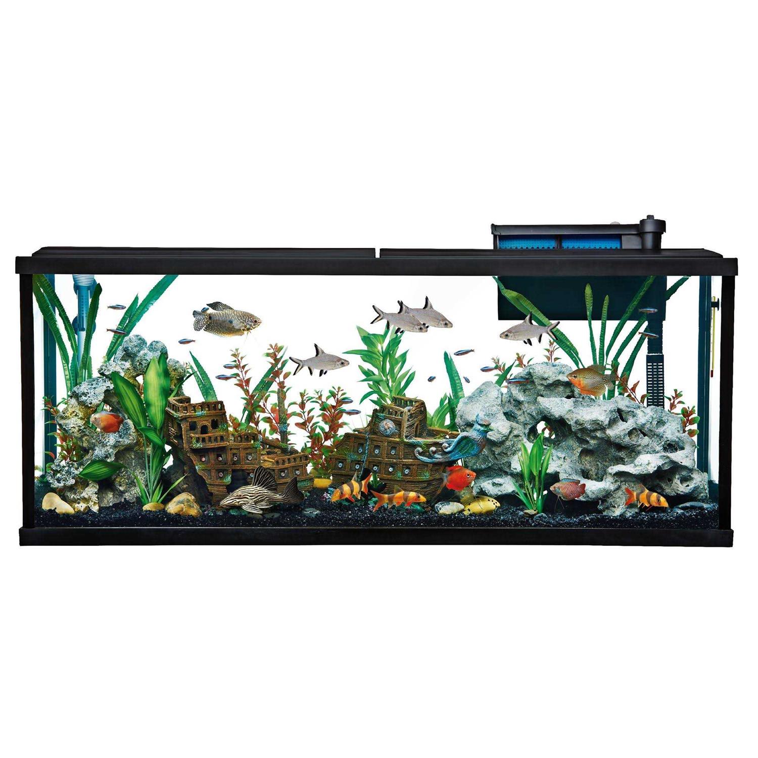 Top Fin Essentials Aquarium Tank Starter Kit - Pet Supplies online store