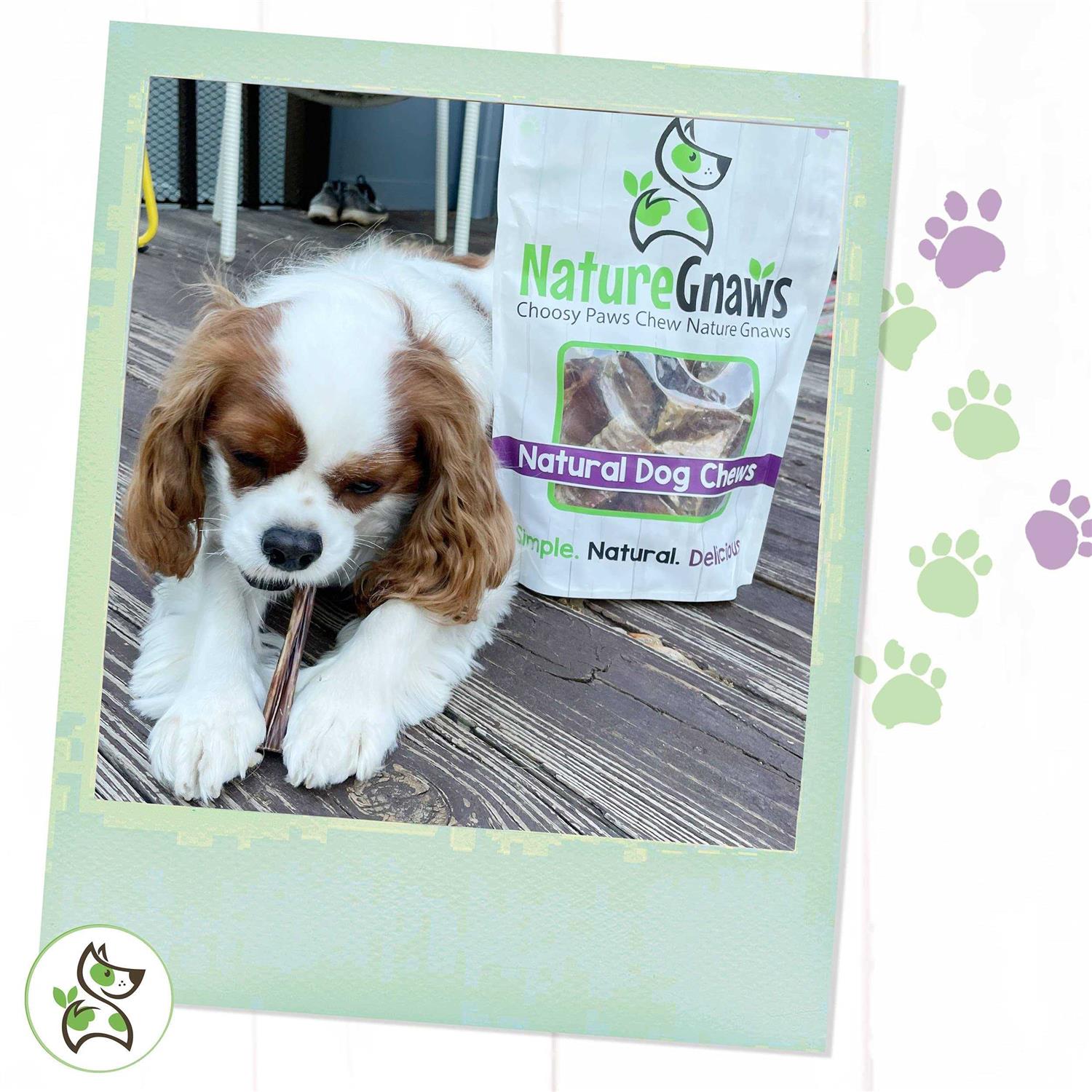 Nature Gnaws Bully Sticks for Dogs Premium Natural Beef Bones - Pet Supplies online store