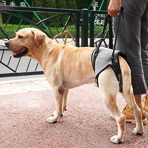 Dotoner Dog Sling for Large Dogs Hind Leg Support to Help Rehabilitate The Hind Limbs of Elderly Dogs with Weak Hind Legs Disabilities and Injuries - Pet Supplies online store