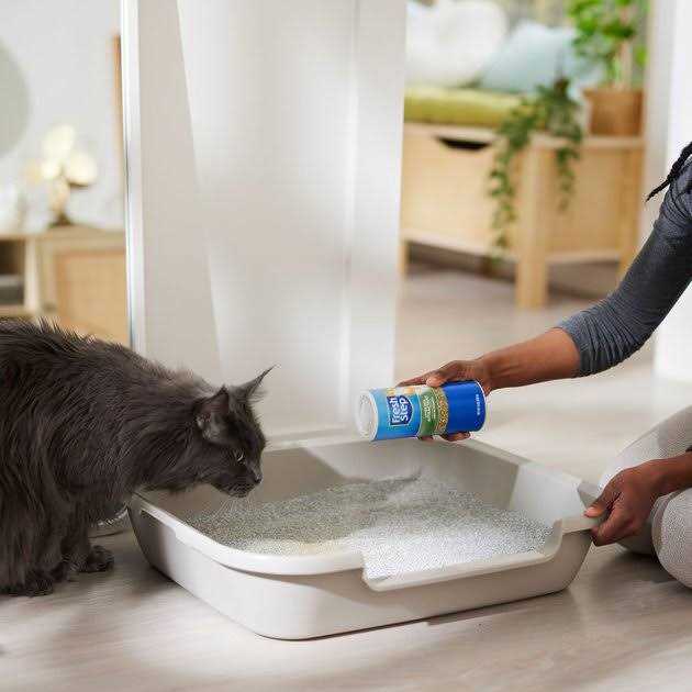 Fresh Step Litter Box Attractant Powder to Aid in Training - Pet Supplies online store