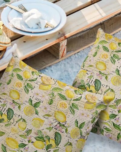 Summer Lemon Waterproof Outdoor Pillow Covers, Decorative Pillow Cases, Farmhouse Yellow Lemon Botanical Square Garden Throw Cushion Cases for Patio/Sofa/Couch 18