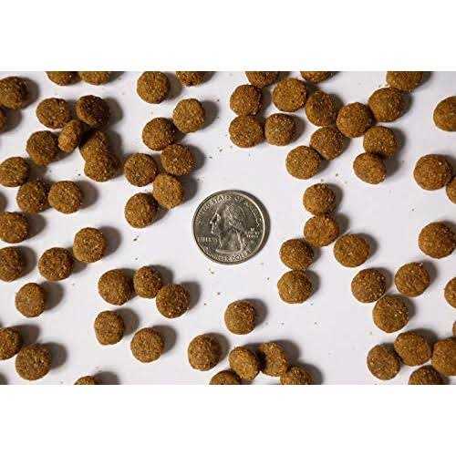 Beaverdam Hi-Energy Blue Label Pork and Chicken Dry Dog Food 20 lb - Pet Supplies online store