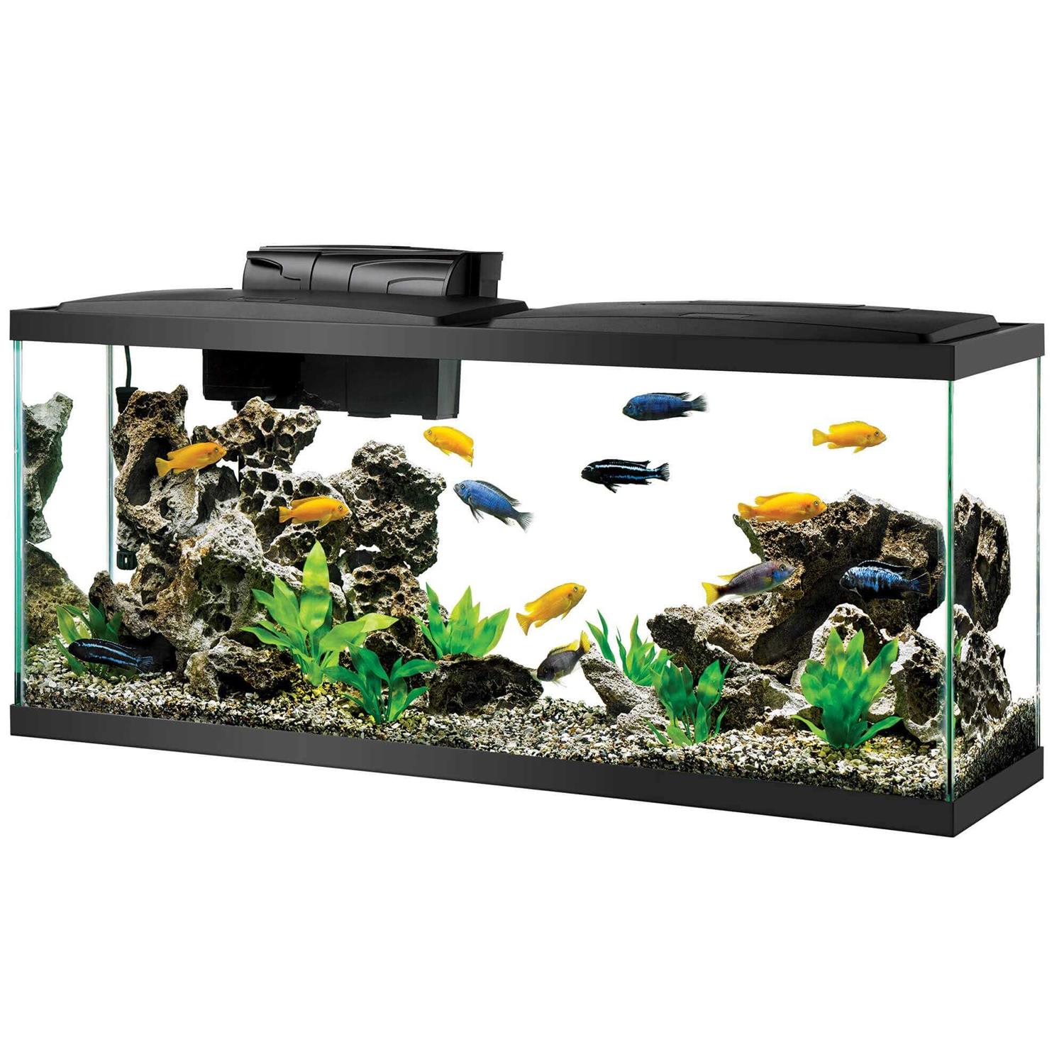 Aqueon Aquarium Kit LED - Pet Supplies online store
