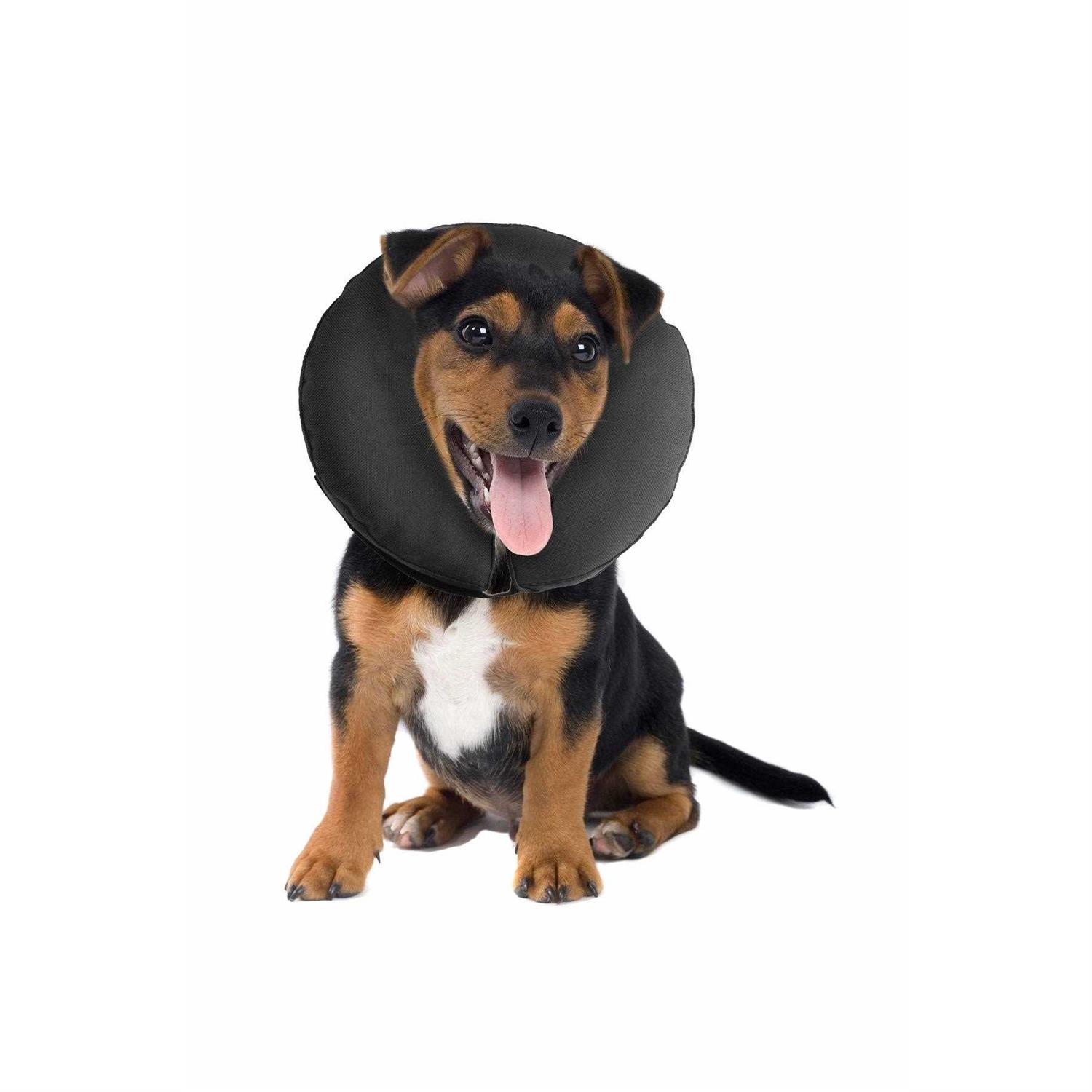 ZenPet Inflatable Recovery Collar - Pet Supplies online store